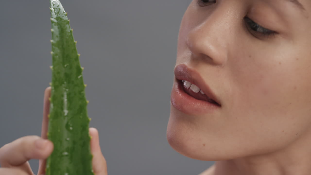 알로에 베라를 들고 있는 아름다운 젊은 여성의 초상화입니다. 신선한 자연 피부 관리 에센스를 즐기고 있습니다. 회색 바탕에 웃고 있는 유쾌한 여성 피부 관리 개념