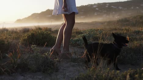 slow motion handheld shot of a french bulldog on the beach playing with its owner dressed in white dress during a sunrise