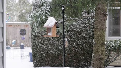 Kleiner-Vogel-Versucht-Im-Schnee-Warm-Zu-Bleiben