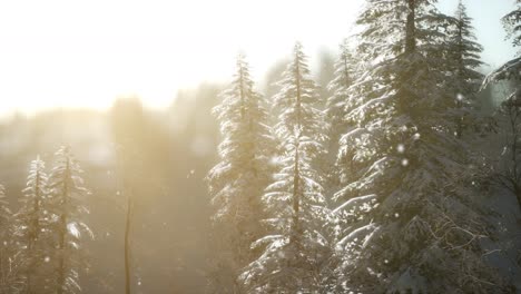 Herrliche-Weihnachtsszene-Im-Bergwald.-Bunter-Wintersonnenaufgang