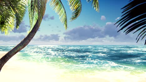 branches of palm trees and tropical plants in the wind at sunny day. beautiful summer loop background.