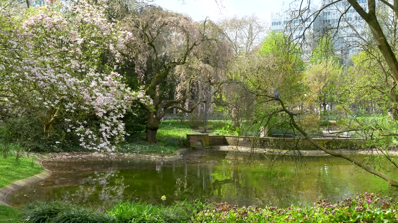 Peaceful pond in Palmengarten Frankfurt surrounded by blooming trees and lush greenery reflecting in water during springtime
