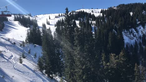 people skiing in pine forest on groomed ski run on sunny winter day with clear blue sky in 4k
