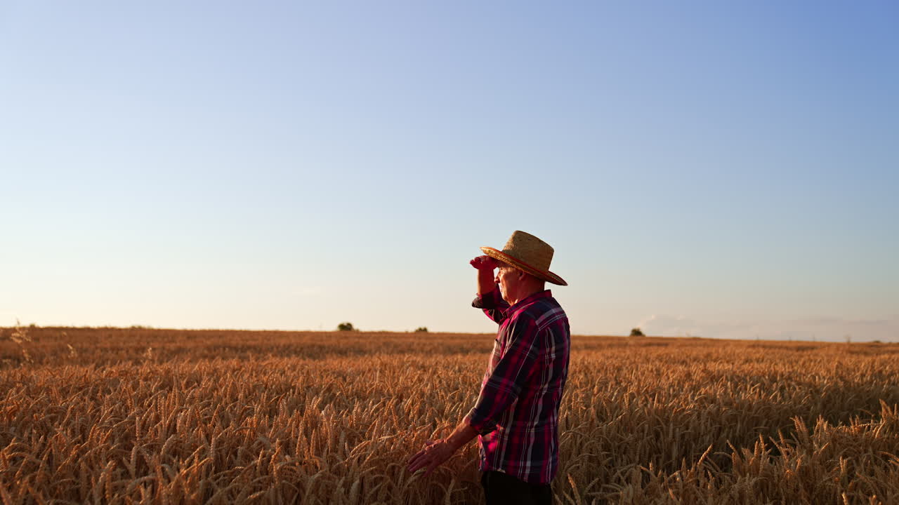 Caucasian mature farmer in a hat stops in the field. Man looks at his plantation covering eyes from setting sun.