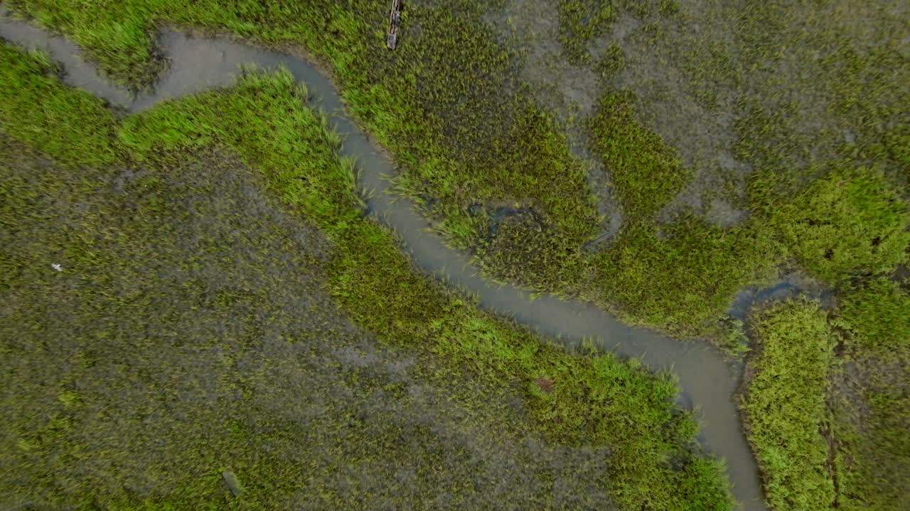 Aerial View of Lush Green Rice Paddies with Winding Water Channels