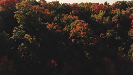 Fall-colour-over-Don-Valley-Parkway-Toronto-Ontario-Canada