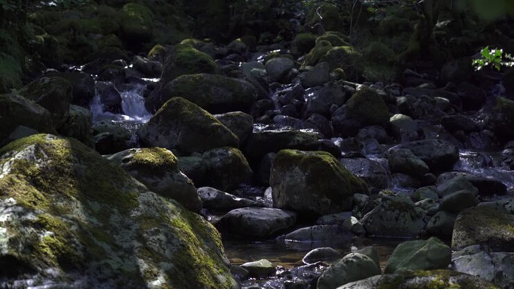Delightful flowing stream over moss rocks in the Lake District, Cumbria, England