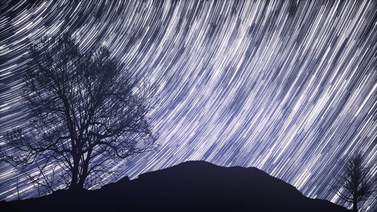 Night Sky Landscape with Stars and Tree Silhouettes