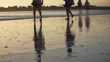 walking in the sea at venice beach