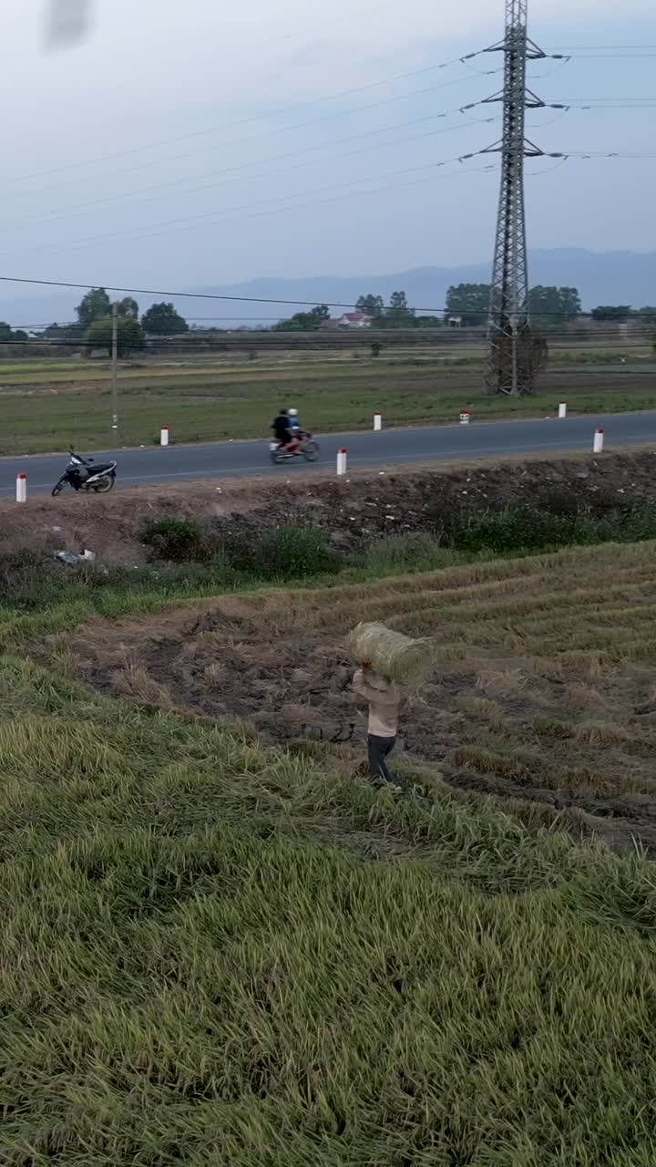Rural scene with a person carrying hay and motorcycles on the road