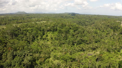 flyover cinematic footage of bali indonesia jungle forest