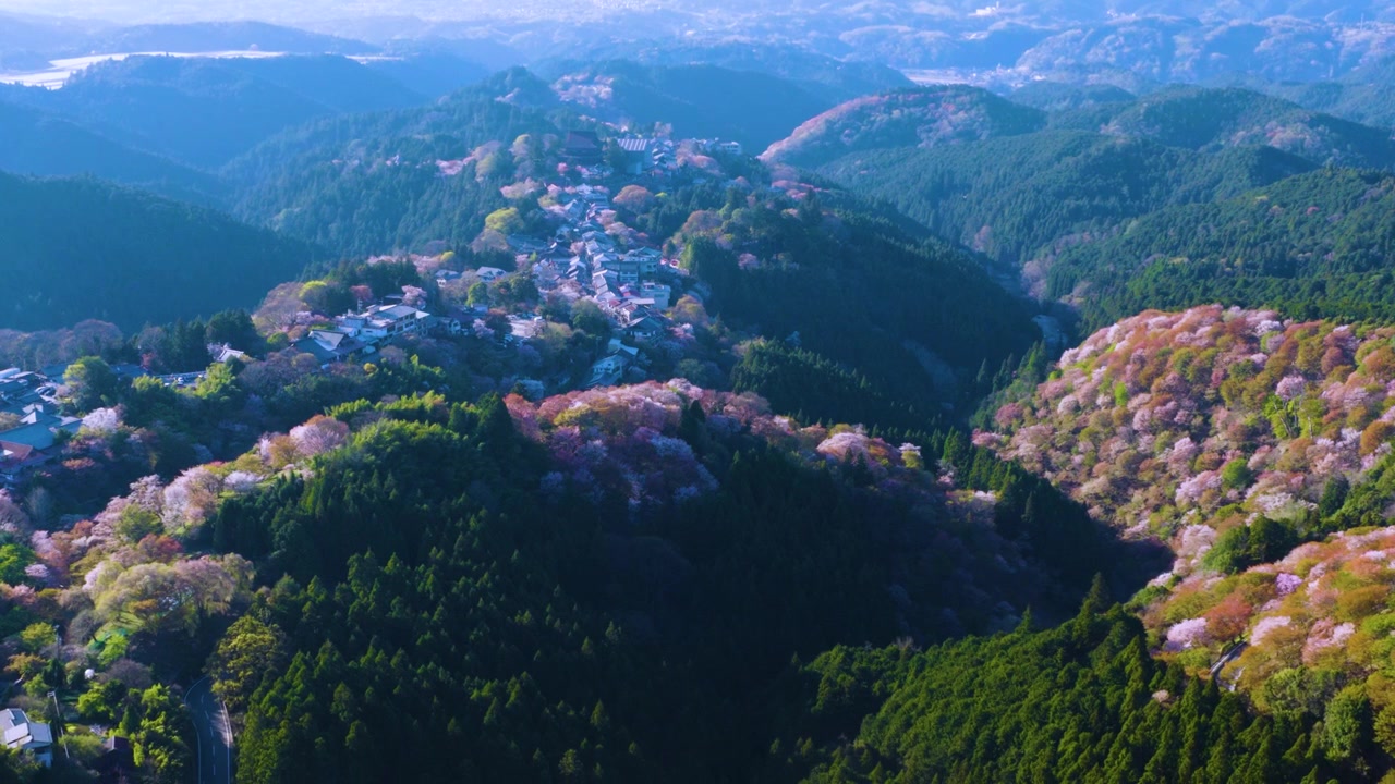 Yoshino Dağı'ndaki Sakura'nın 4K Destansı Manzarası, Japonya'da Kiraz Çiçeği Mevsimi