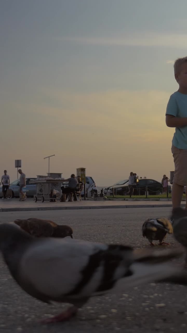 Boy feeding pigeons in an urban environment at sunset