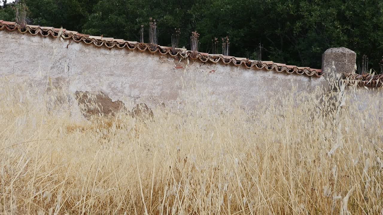 Side wall of an abandoned cemetery with clay tiles on top. Worn wall with peeling stucco. Weeds and dry grass in the foreground
