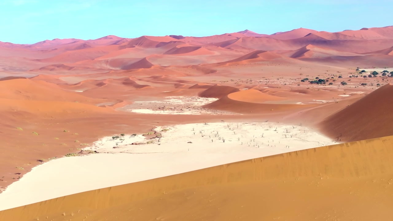 Luftaufnahme über der rissigen weißen Pfanne von Deadvlei mit versteinerten toten Bäumen, umgeben von hoch aufragenden roten Dünen. Die hoch aufragenden roten Dünen leuchten vor den blassen, rissigen Lehmpfannen dieser alten Wüstenwildnis.