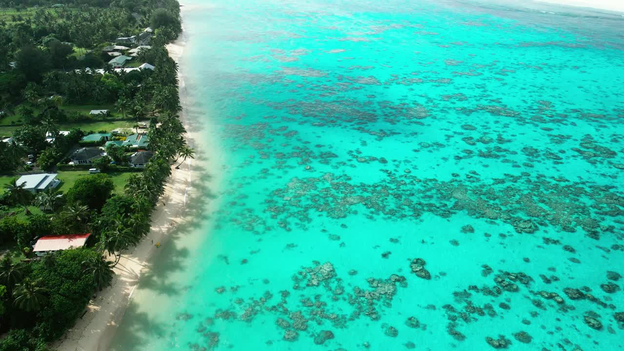 amanecer brillando a través de las palmeras a lo largo de la playa de rarotonga, islas cook con sombras proyectadas sobre el agua