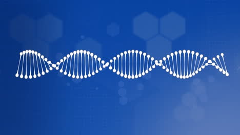 animación de la cadena de adn sobre un fondo azul