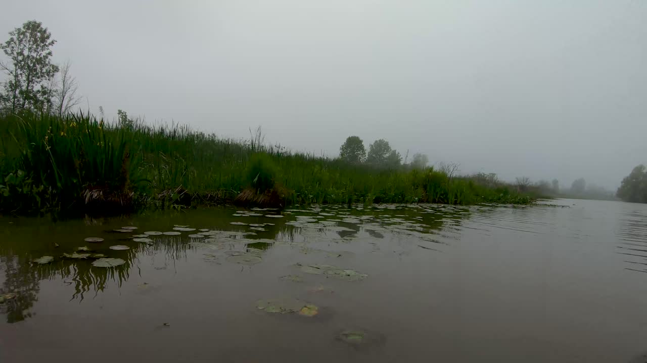 Kayak journey up small creek
