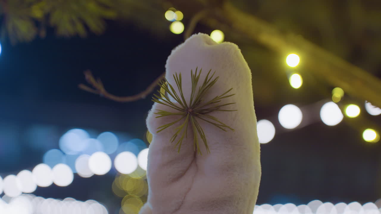Close up of winter-gloved hand touching decorative pine branch with soft golden bokeh lights in the background, magical holiday ambiance with warm festive glow