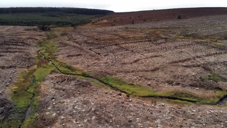 silvicultura tala de madera cosecha deforestación empuje aéreo en vista a través de bosques devastados