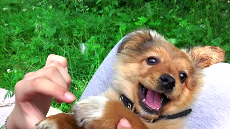 chica feliz con su retrato de perro tendido