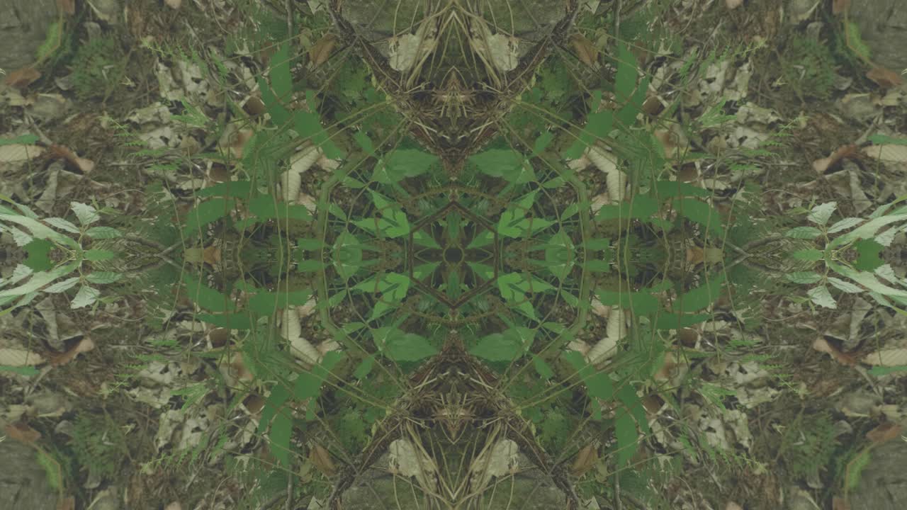 caleidoscopio de vegetación usando imágenes de bosque de wissahickon creek, philadelphia, #10