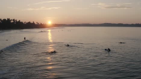 surfers in the ocean during sunset in weligama bay in sri lanka