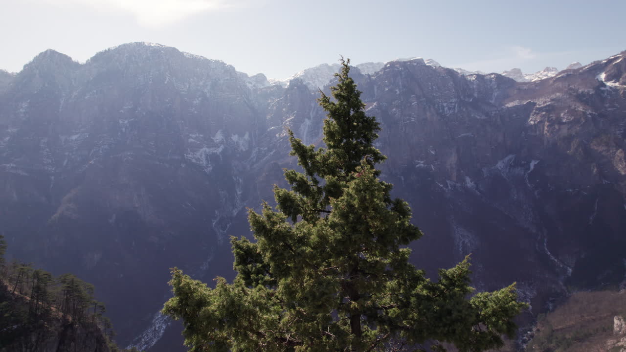 árbol solitario en la cima de una montaña