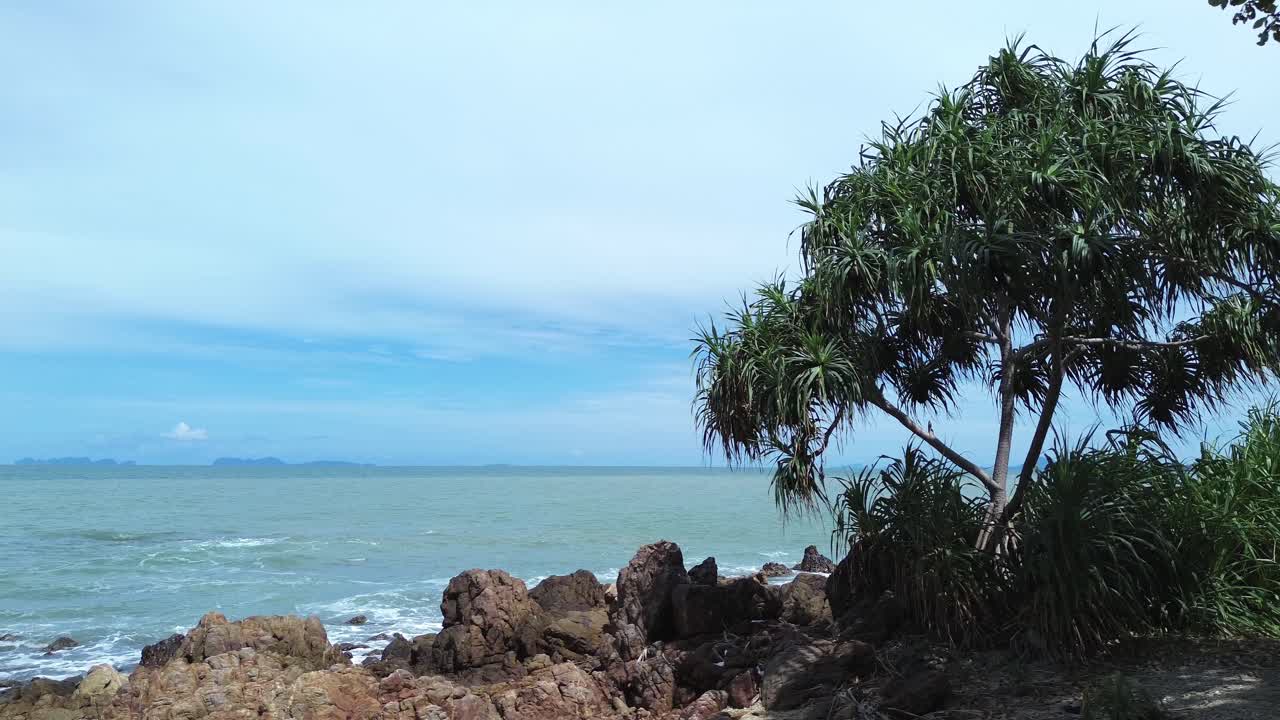 Aerial drone footage showing a rocky tropical beach on Koh Lanta, Thailand, with a pandanus tree in the foreground and calm turquoise sea in the background under a bright cloudy sky