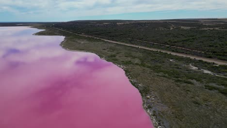 Cinematic-aerial-view-of-the-scenic-landscape-of-Hutt-Lagoon-Pink-Lake,-Hutt-Lagoon-Marine-Salt-Lake-on-Coral-Coast-near-Port-Gregory,-Australia
