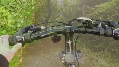 riding a bicycle on a forest trail