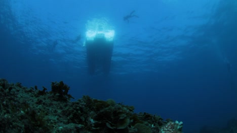 Looking-up-at-a-boat-and-divers-from-the-bottom-of-the-ocean