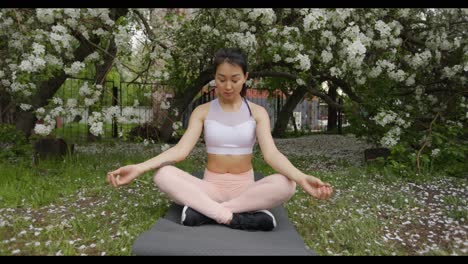 woman meditating outdoors in a park