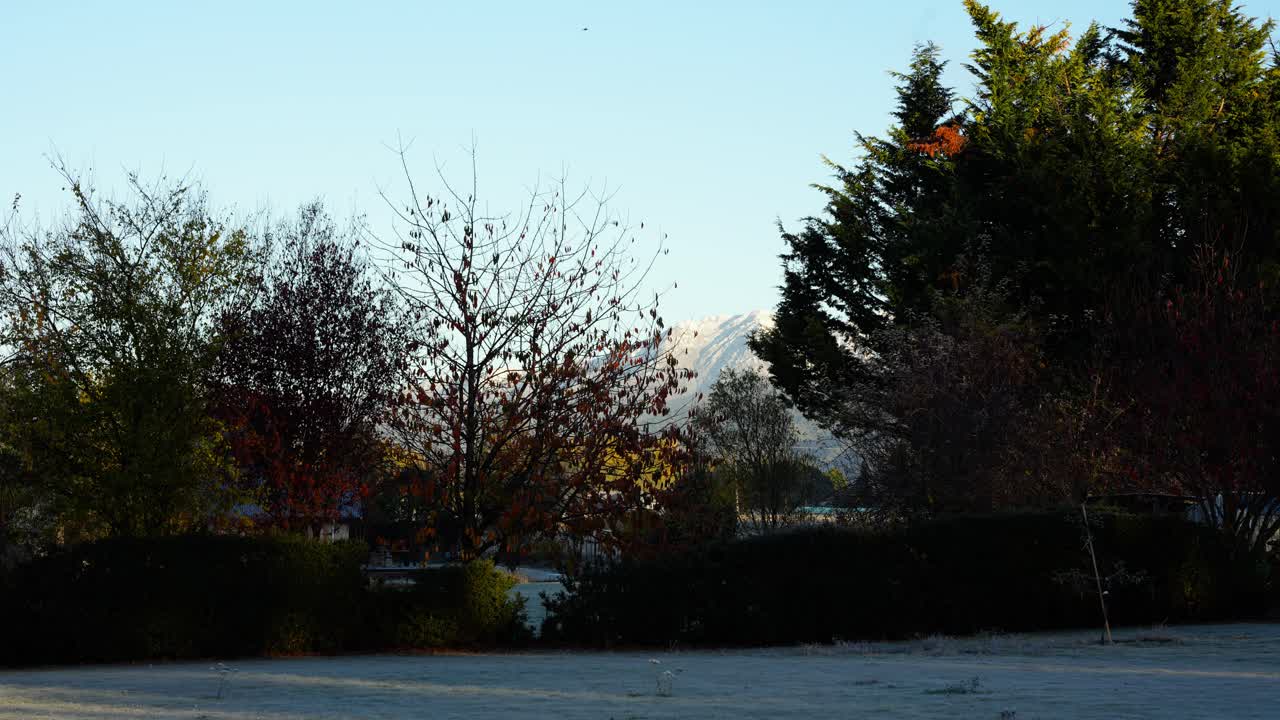 amanecer de lapso de tiempo en otoño en un patio local en nueva zelanda, suelo helado