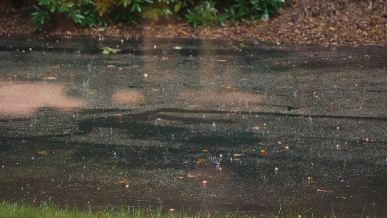 Rainy Day: Flooded Road and Autumn Leaves
