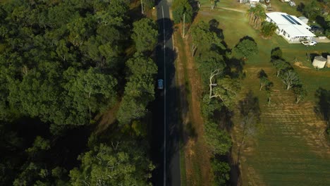 Modern-silver-car-driving-on-road-along-a-lush-green-gum-tree-forest-and-mountains