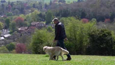 mature man takes dog for walk in countryside shot on r3d