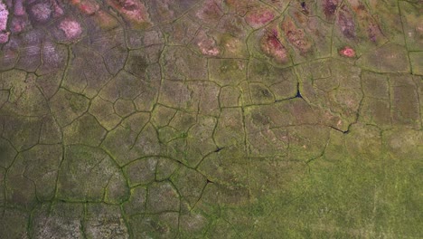 Alaska-land-with-dry-and-cracked-ground-or-river-channels-and-valleys