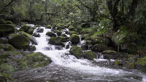 Hermoso-Arroyo-En-Las-Montañas-Con-Algunas-Cascadas