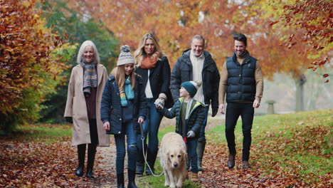 sonriente familia de varias generaciones con un perro caminando por el camino a través del campo de otoño juntos