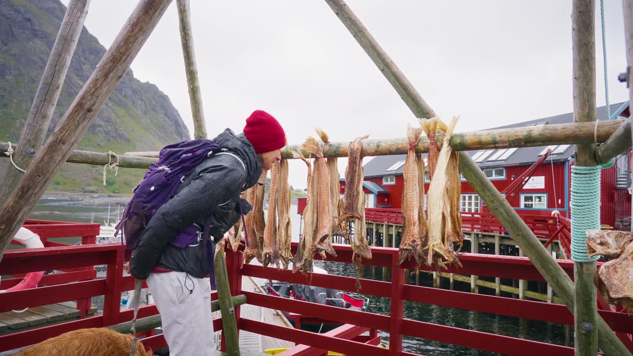 una joven turista huele el salmón seco en un estante en el hermoso pueblo de pescadores de å, las islas lofoten, noruega