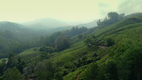 Panorámica-Hermosa-Plantación-De-Té-Brumoso-Plantaciones-De-Té-De-Clase-Mundial-En-Las-Colinas-De-Munnar,-Kerala,-India