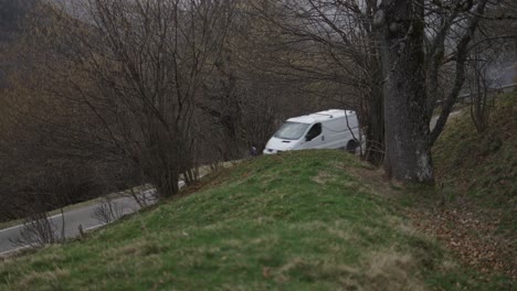 mountain road with trees and grass
