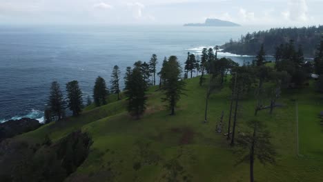 Background-of-the-Pacific-Ocean,-green-grass-and-forests-of-Norfolk-Island