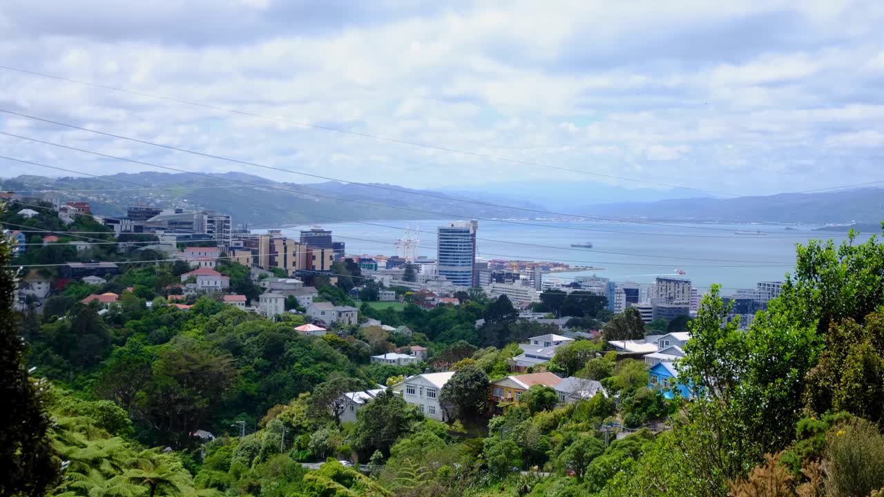 Elevated view capital city Wellington in New Zealand Aotearoa with green forest trees, houses, and high rise office buildings overlooking harbour water