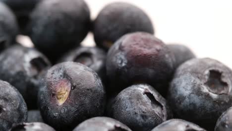 close-up of fresh blueberries