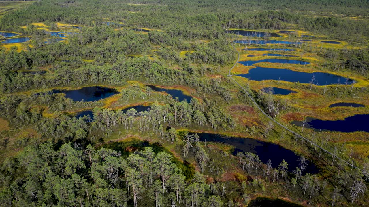 Slow cinematic tilt up reveal of beautiful lakes inside marshland