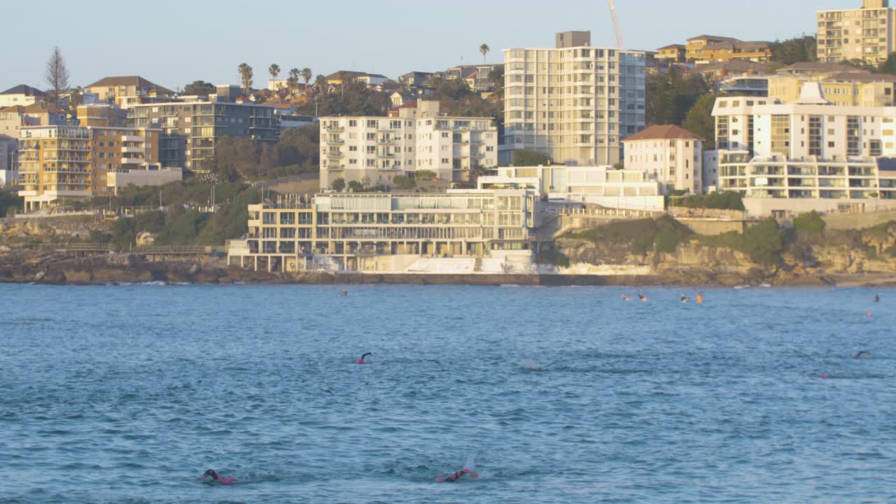 호주 북부 본디 해변에서 트라이애슬론 훈련을 하는 수영 선수들