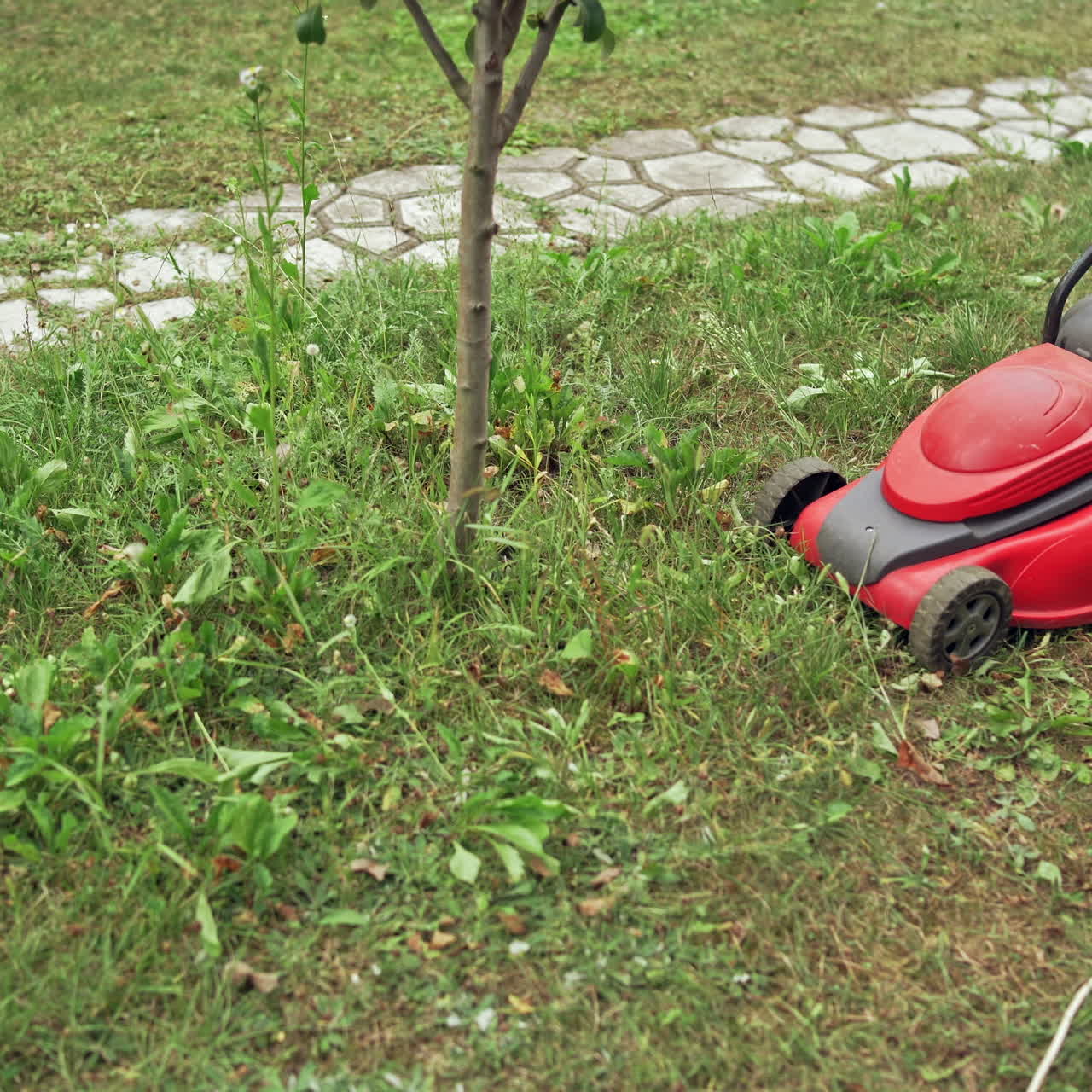 Boy is working with lawn mower. Electric lawn mower cutting grass in the yard. Gardening activity.