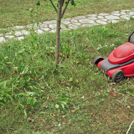 boy is working with lawn mower. electric lawn mower cutting grass in the yard. gardening activity.